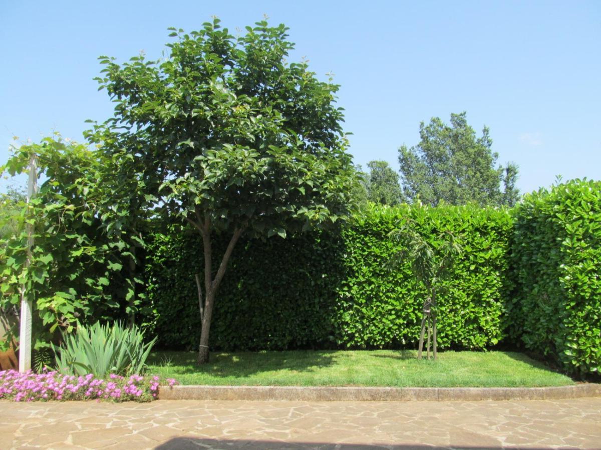Apartments Zvezdica*** With Garden Zambratija  Luaran gambar