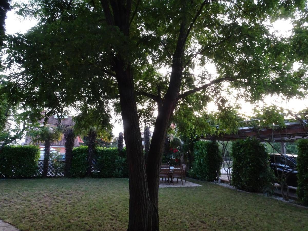 Apartments Zvezdica*** With Garden Zambratija  Luaran gambar